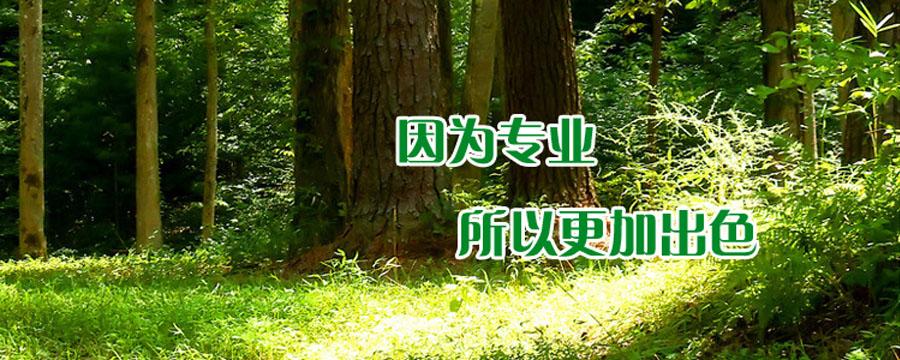 以木材加工和销售主,长期以来公司以诚信为品牌,以优质的产品质量和